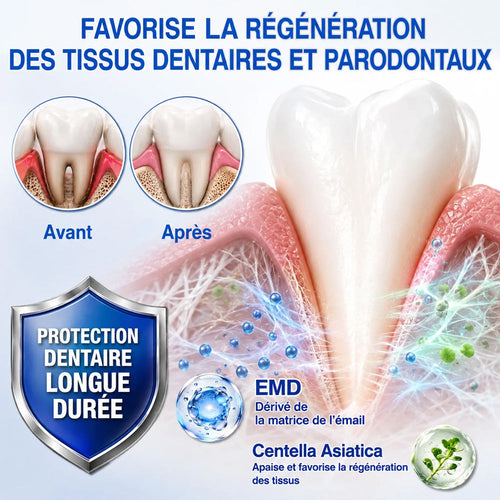 🤩Purelora® 🧑‍⚕️ GumRevive Gel Réparateur Parodontal 🧸