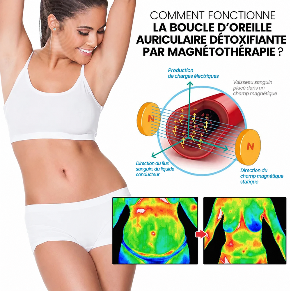 🔥 DERNIER JOUR : -80 % | Boucles d’oreilles magnétiques en zircon CZTICLE® – Bien-être et gestion du poids