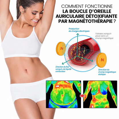🔥 DERNIER JOUR : -80 % | Boucles d’oreilles magnétiques en zircon CZTICLE® – Bien-être et gestion du poids