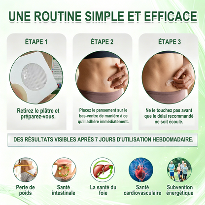 𝐏𝐮𝐫𝐞𝐥𝐨𝐫𝐚® 𝐌𝐞𝐭𝐚𝐛𝐨𝐥𝐢𝐜 𝐌𝐚𝐭𝐫𝐢𝐱 – 𝐏𝐚𝐭𝐜𝐡 𝐍𝐚𝐧𝐨 à 𝐌𝐢𝐜𝐫𝐨𝐧𝐞𝐞𝐝𝐥𝐞𝐬 𝟏𝟎-𝐞𝐧-𝟏 𝐃𝐇𝐁 + 𝐀𝐦𝐚𝐫𝐚𝐬𝐚𝐭𝐞