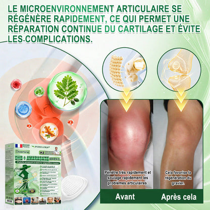 🔱𝐏𝐮𝐫𝐞𝐥𝐨𝐫𝐚® 𝐌𝐞𝐭𝐚𝐛𝐨𝐥𝐢𝐜 𝐌𝐚𝐭𝐫𝐢𝐱 – 𝐏𝐚𝐭𝐜𝐡 𝐍𝐚𝐧𝐨 à 𝐌𝐢𝐜𝐫𝐨𝐧𝐞𝐞𝐝𝐥𝐞𝐬 𝟏𝟎-𝐞𝐧-𝟏 𝐃𝐇𝐁 + 𝐀𝐦𝐚𝐫𝐚𝐬𝐚𝐭𝐞