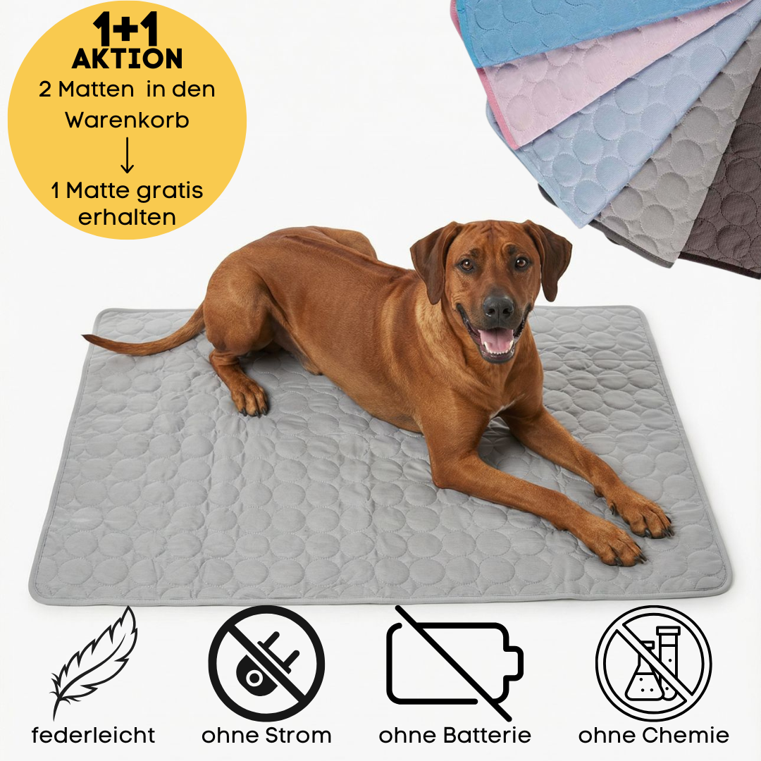 Kühlmatte für den Sommer | 1+1 AKTION